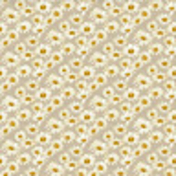 Meet your Posher, Gracie - Picture 1 of 1